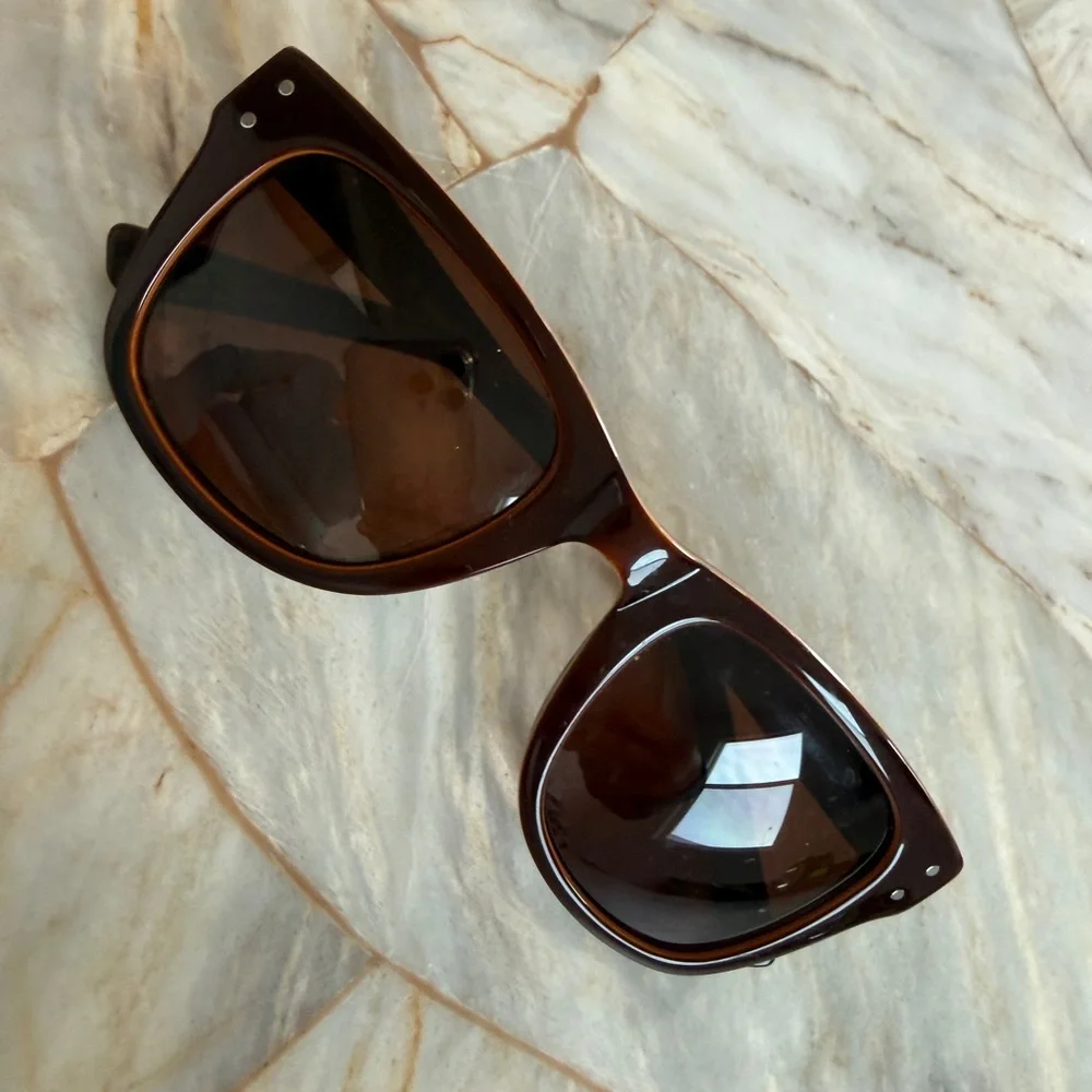 Classic Men's Wayfarer Sunglasses in Dark Brown
